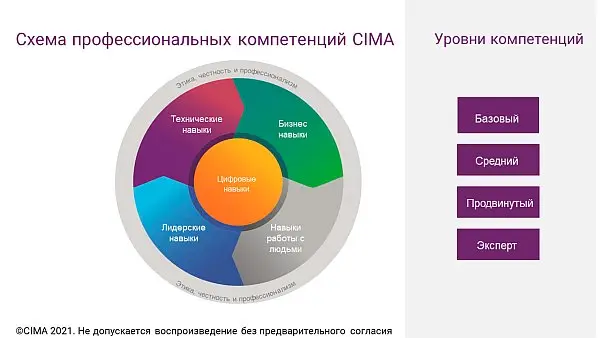 CGMA Competency CGMA Competency